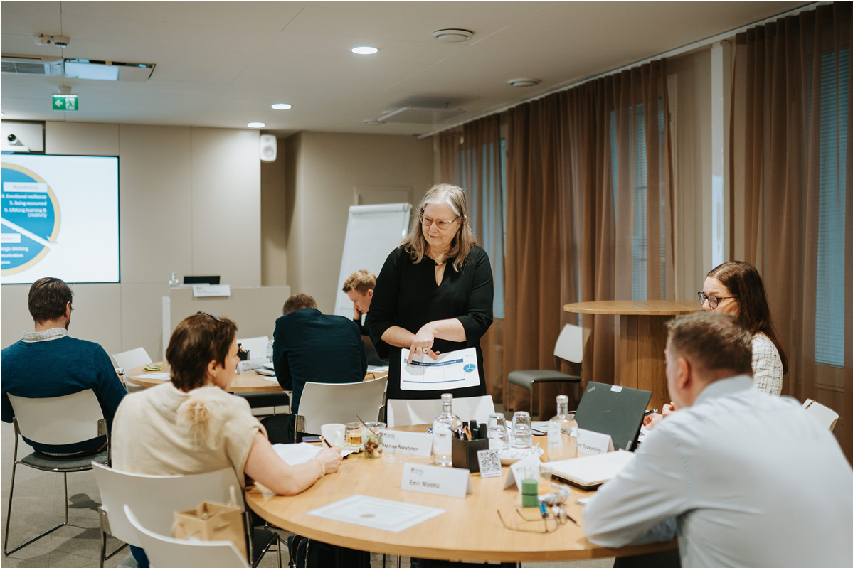 Finland’s First University-Level Team Coaching Programme